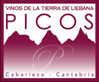 vinos Picos
